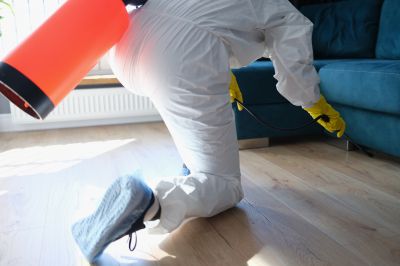 Fumigation Service in Winston Salem, NC