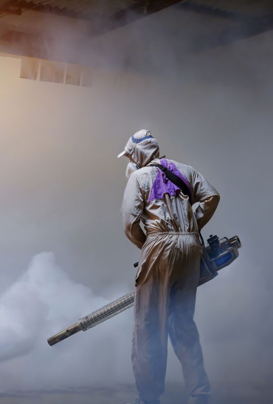 Rat Fumigation Service in Cumming, GA