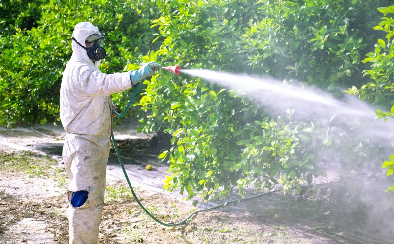 Fumigation Service in Wilmington, NC